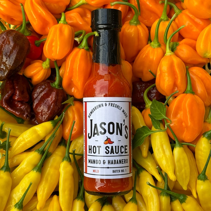 Batch No. 1 bottle lying on a pile of habaneros, chocolate habaneros and aji limón chillies