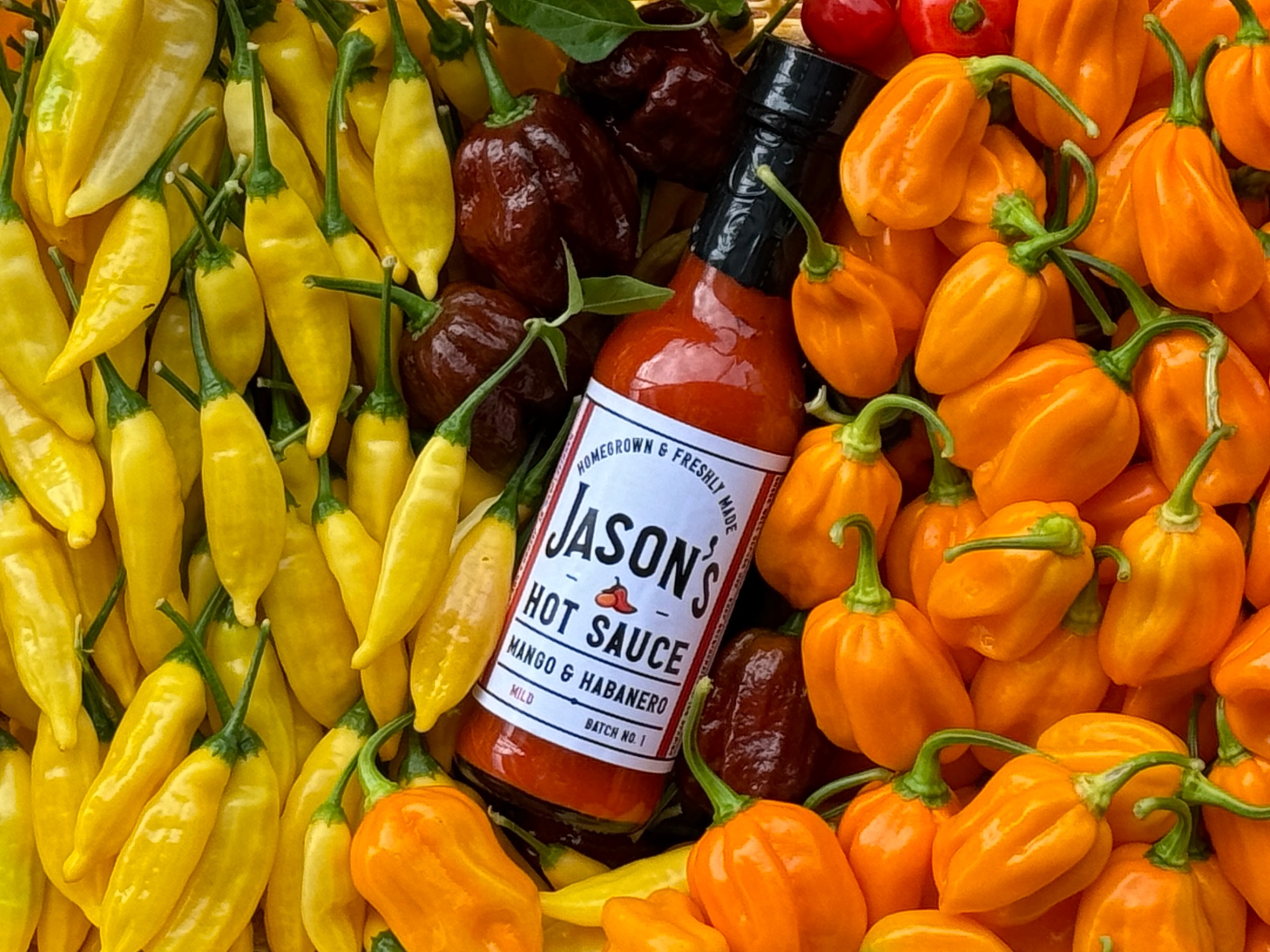 Fresh habanero and chilli peppers